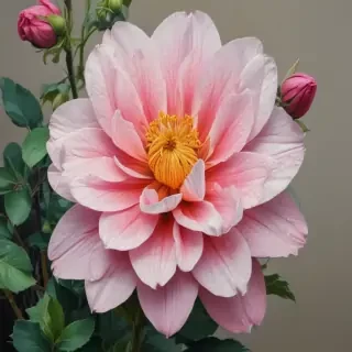 flower drawings with color