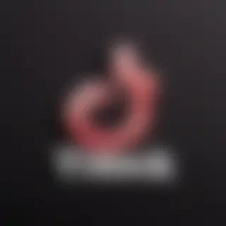 tiktok logo
