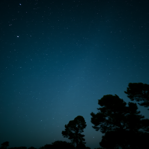 Create an image of a peaceful night sky filled with stars, captured with a Canon EOS R5, 24mm lens, f/1.8 aperture, ISO 800, 30 seconds exposure, using a wide-angle view and a long exposure style to enhance clarity and detail.
