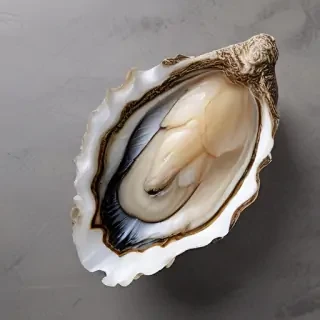 oysters png