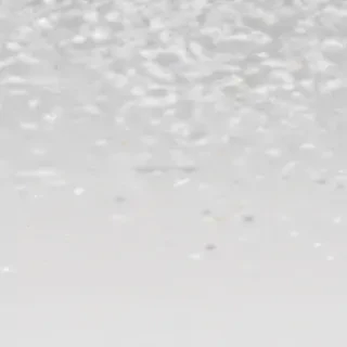 snow transparent background
