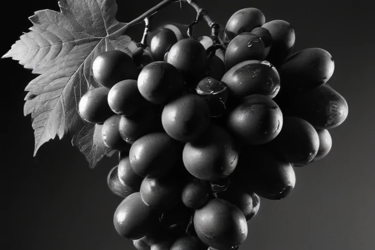 grapes clipart black and white