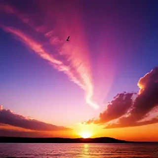 sunset wallpaper for phone