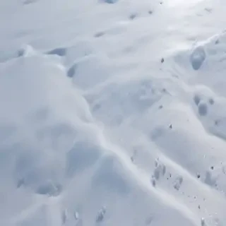 transparent snow