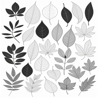 black and white leaf clipart