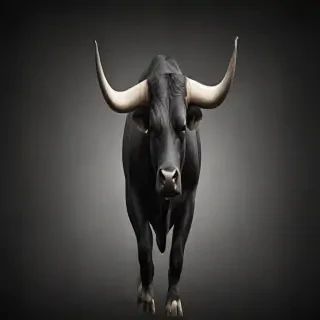 bull background
