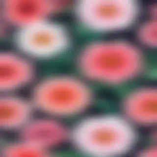 background iphone flowers