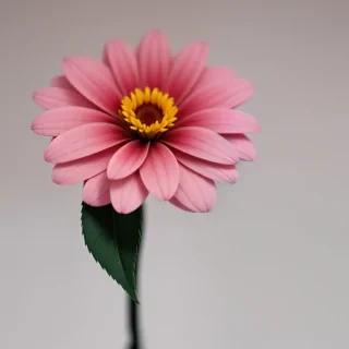 flower no bg
