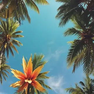 summer background iphone
