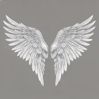 wings transparent