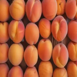 peaches background