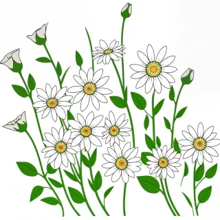 clipart transparent background flowers