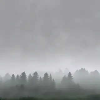 foggy background