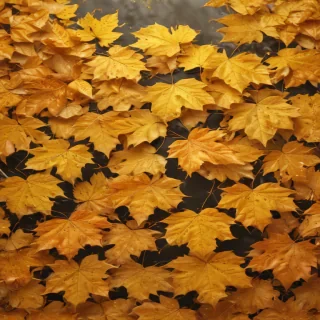 golden leaves background