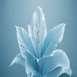 light blue wallpapers