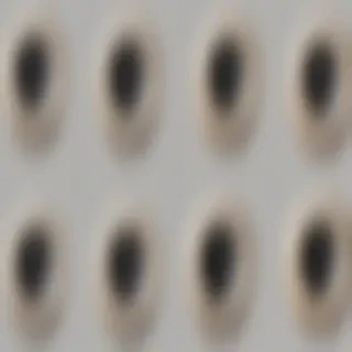 bullet holes png