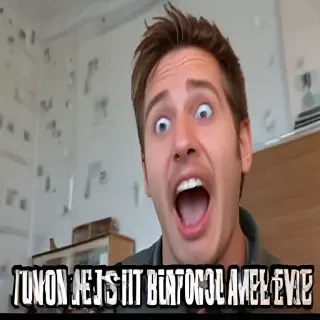 funny videos