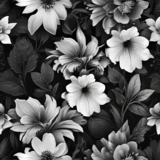 black and white flower png