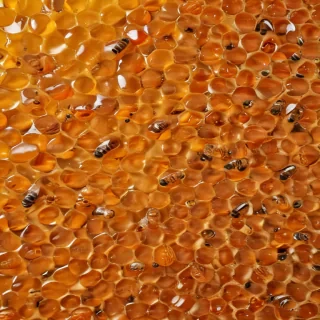 honey background