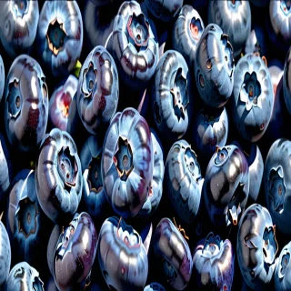 blueberry png
