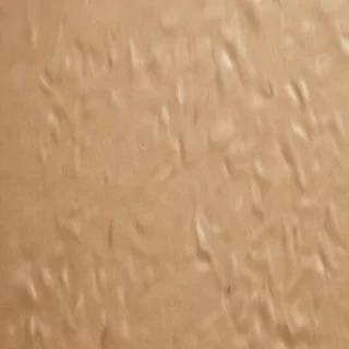 grain paper texture