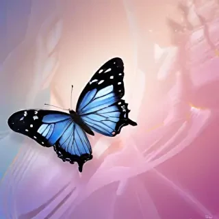 butterfly images wallpaper