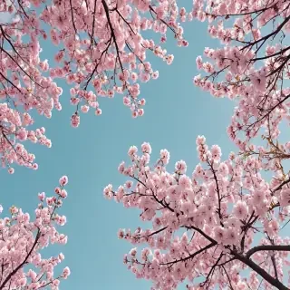 spring aesthetic desktop wallpaper