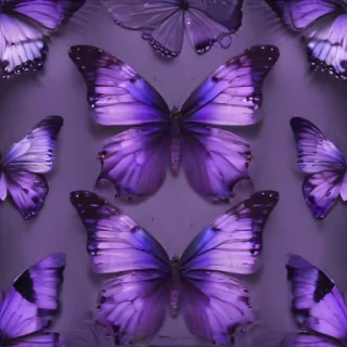 purple butterfly wallpaper aesthetic