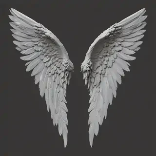 angel wings png transparent