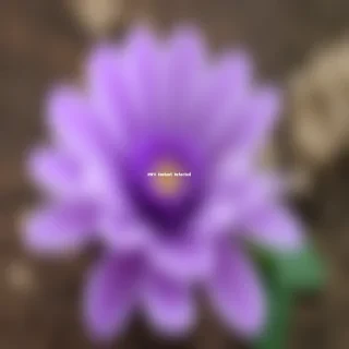 transparent purple flower