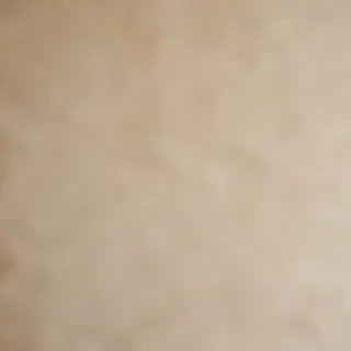worn paper texture