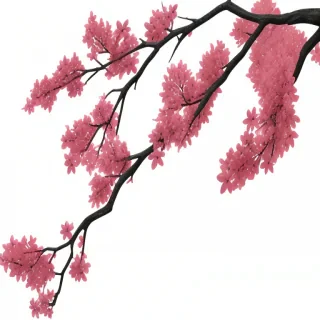branch png