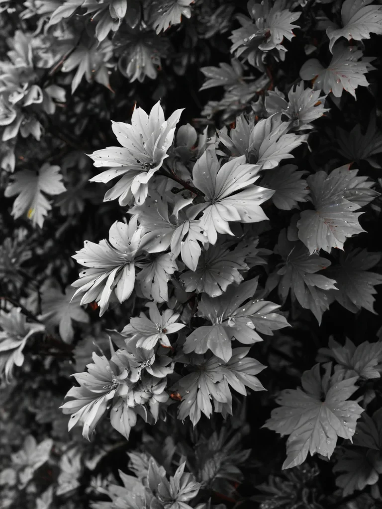 black and white wallpaper iphone