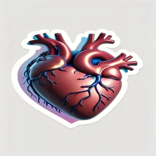 aesthetic transparent heart
