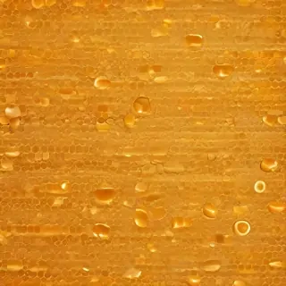 honey background