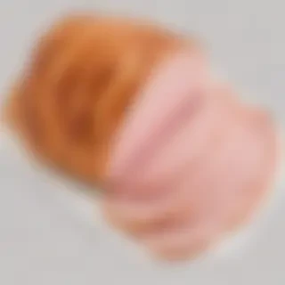 ham png