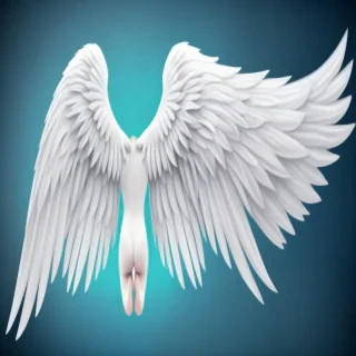 angel wing background