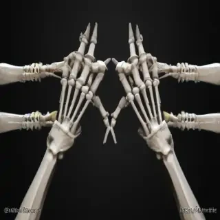 skeleton hands png