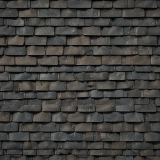 shingles images