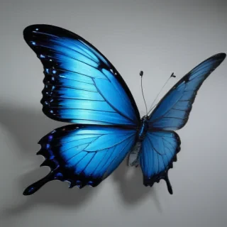 aesthetic blue butterfly