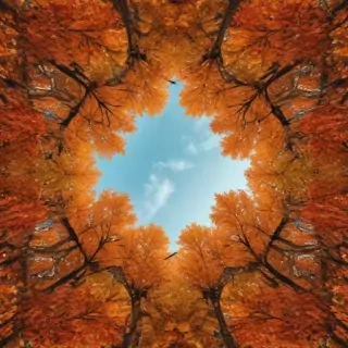 autumn wallpaper phone