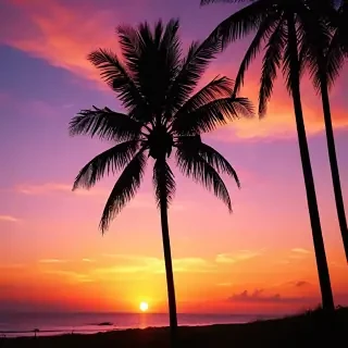 sunset wallpaper for phone