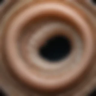 ring worm images