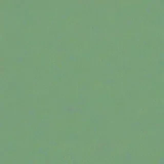sage green wallpaper iphone