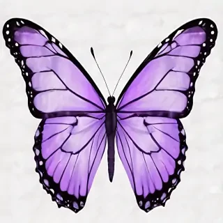 purple butterfly clipart