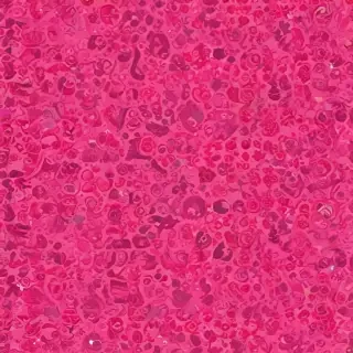 hot pink background
