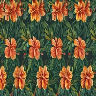 hawaii png