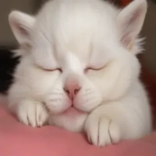 sleepy png