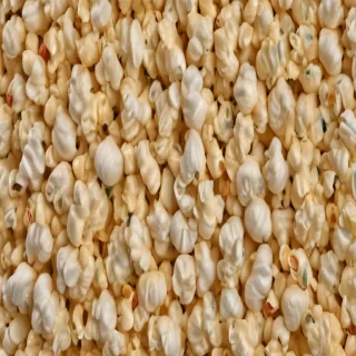 png popcorn