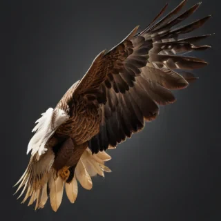 eagle fly png